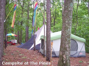 The Pines Gay Campground in Illinois